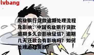 农业银行逾期处理方法及注意事项