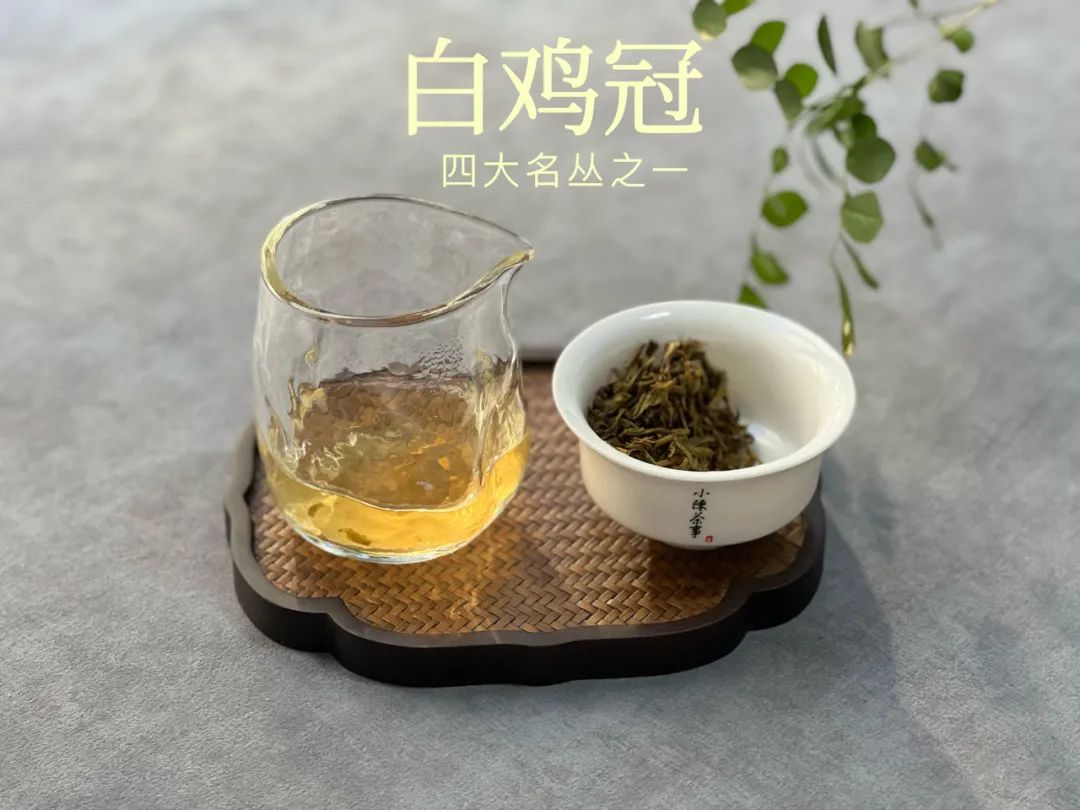 存放十几年的普洱茶好吗