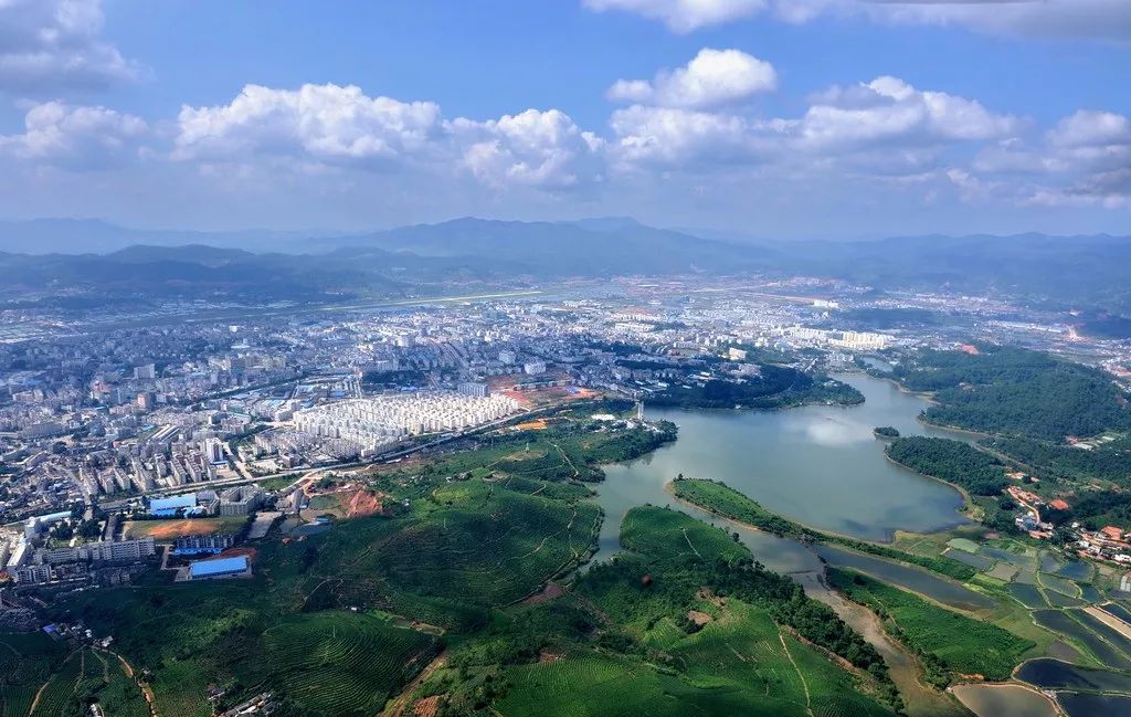 灞茶山之外：普洱茶的多样产地及其特色