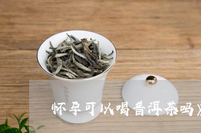 怀孕中期喝普洱茶可以吗