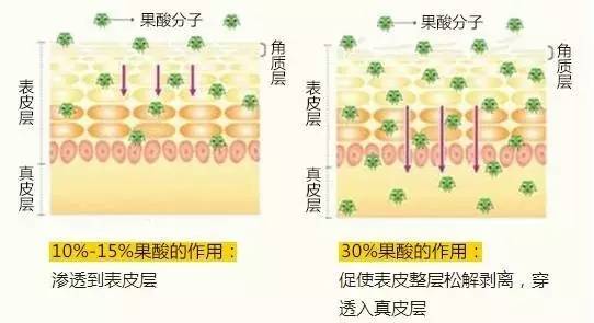 飘花与果绿色：一场视觉盛宴的对比分析