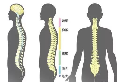 玉的魅力：为何现代人佩戴它的热潮逐渐消退？