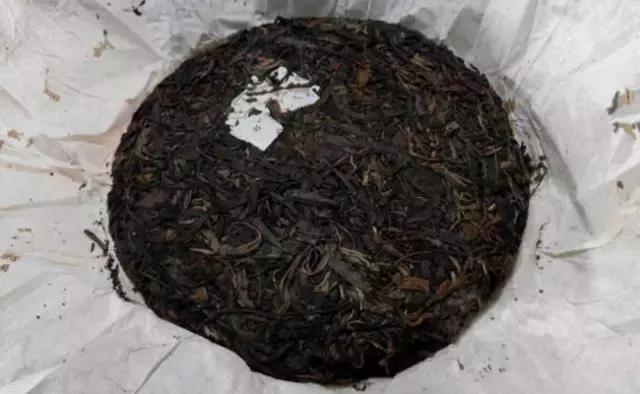 普洱茶老茶是否存在虫子问题？