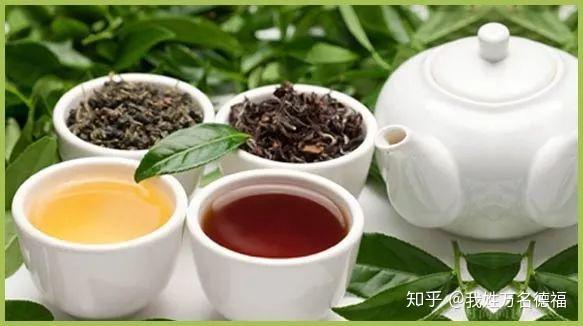 冰岛古树茶：红茶还是绿茶？探讨其茶叶种类和产地特点