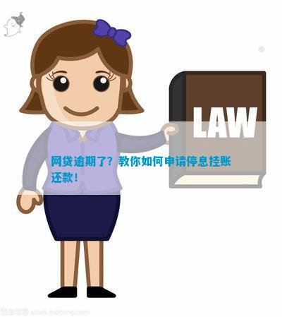 网贷怎么停息挂账还款方法