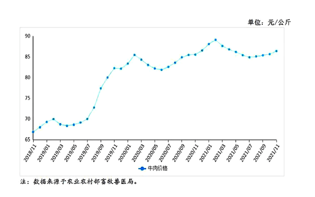 白玉原石价值：评估与市场趋势分析