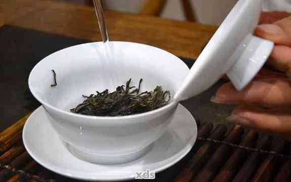 普洱茶泡法详解：从选茶、泡茶器具到冲泡技巧，一篇解决您的所有疑问！