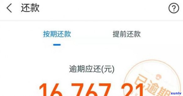 支付宝逾期8万元怎么办