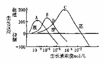 探究玉手尺寸的多样性：从多大到最小的相关因素与技巧