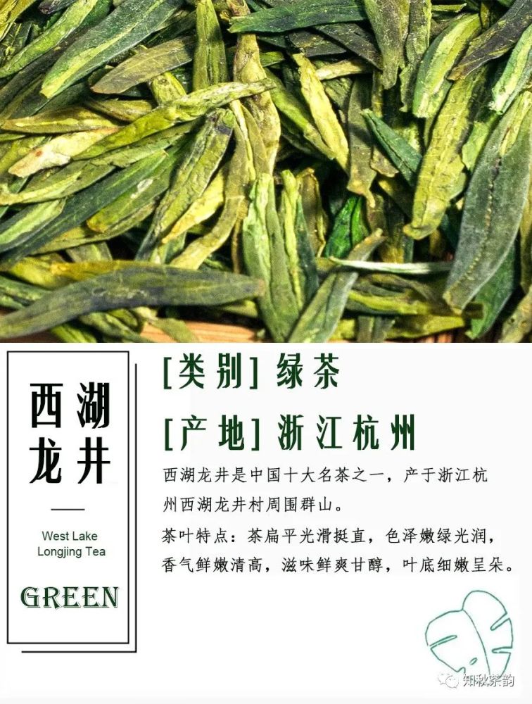 茶叶分类：探索名茶的三大类别及其特点