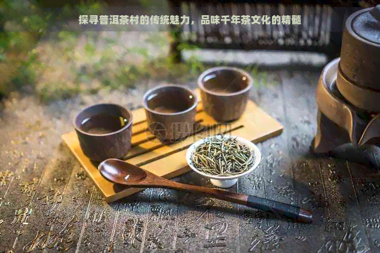 古阳河茶业：品质越，传承千年的茶叶文化与历，探索正宗茶艺与品鉴方法