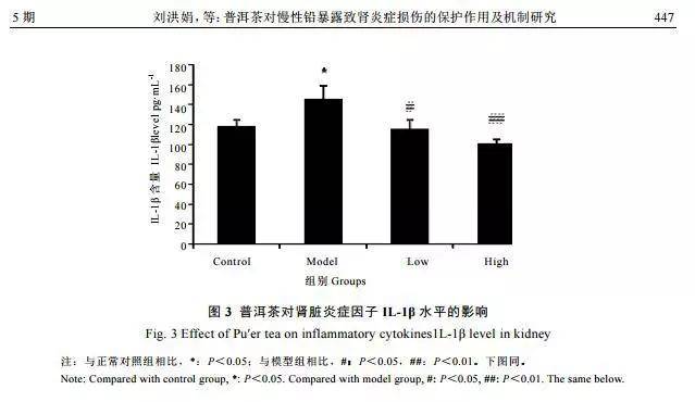 普洱茶与肾脏健：深度探讨其潜在影响及相关研究