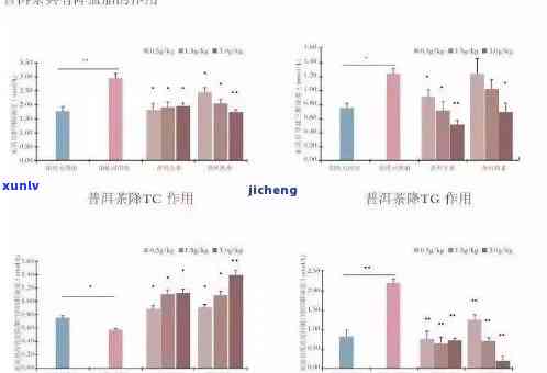 普洱茶与肾脏健：深度探讨其潜在影响及相关研究