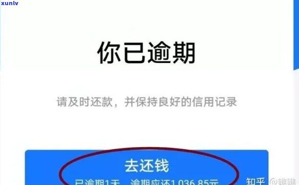 借呗逾期罚息这么多怎么办