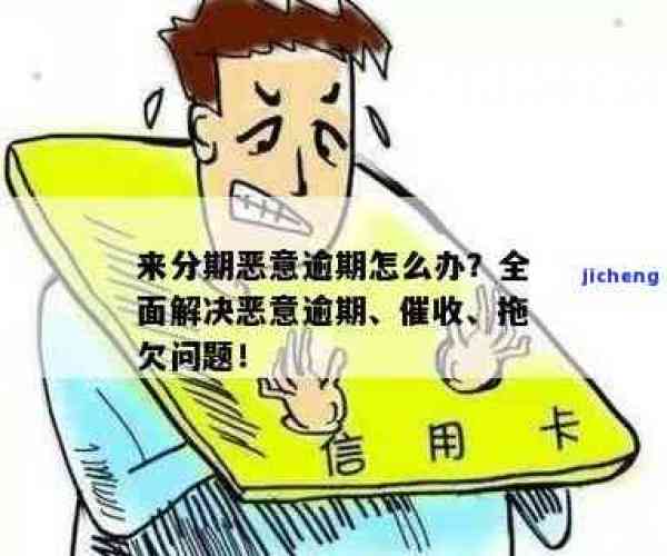 被即有分期怎么应对