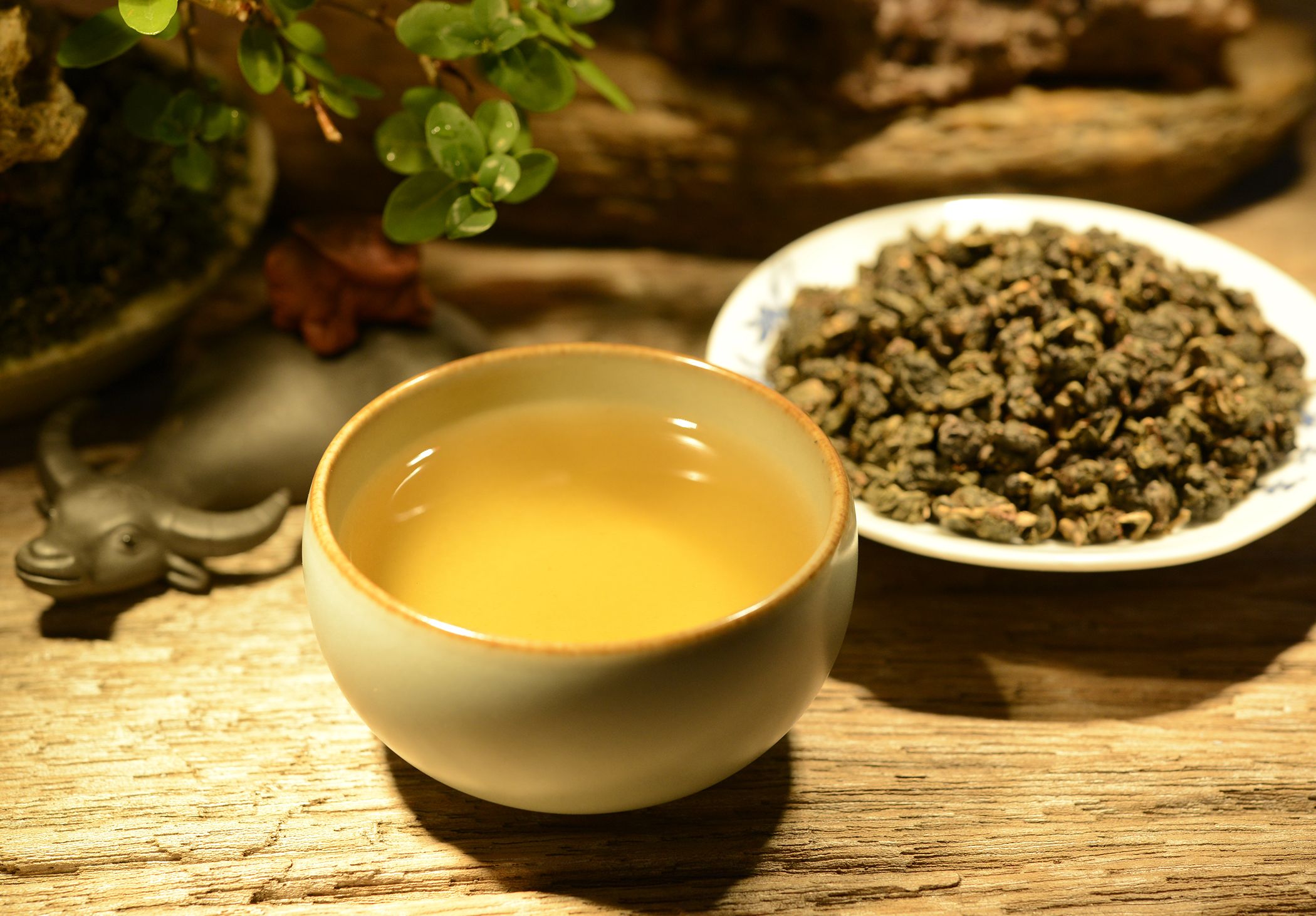 铁观音和普洱：绿茶还是红茶？解答所有关于这两种茶叶类型的疑问