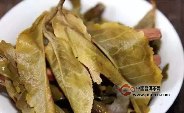 普洱茶黄叶好不好买呢？如何鉴别普洱茶黄叶？普洱茶黄叶详解