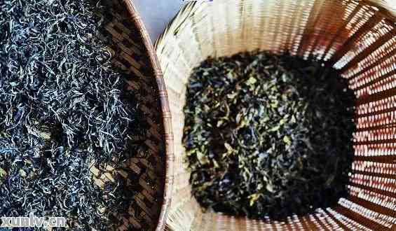 普洱茶熟茶的制作工艺全解析：从原料到成品的步骤详解