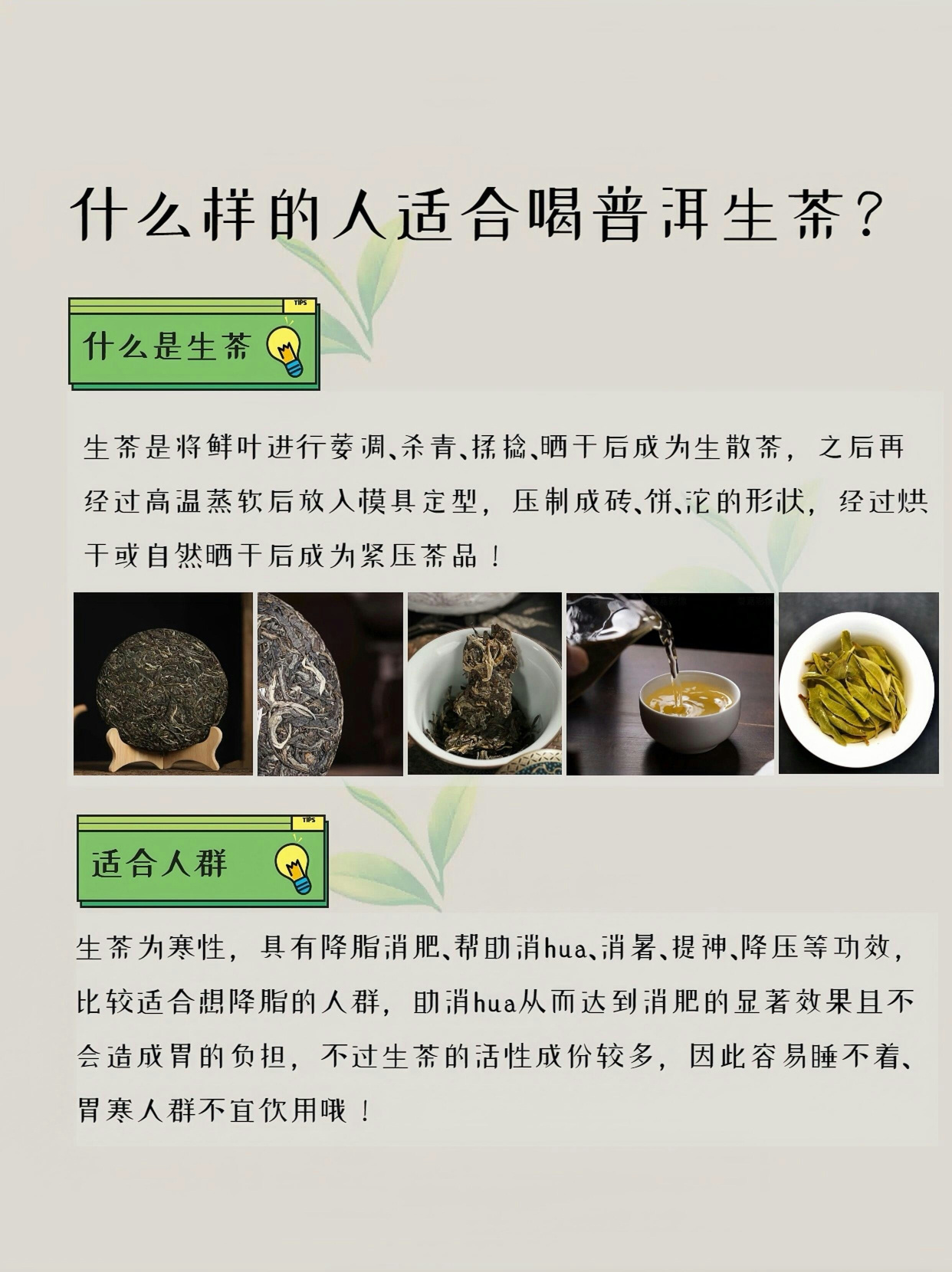 普洱茶生的功效