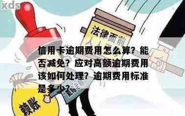 费宽限期如何申请