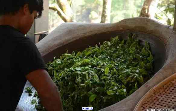 永德普洱茶：源自云南古树，传承千年的独特风味