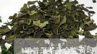 喝普洱茶牙齿容易变黄吗