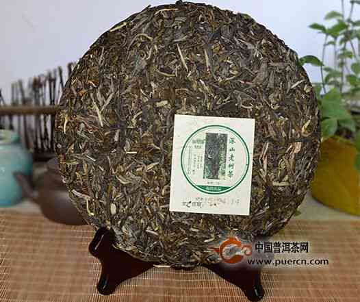 普洱老树茶聘号普洱生茶价格