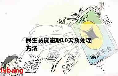 民生易贷逾期一年还款怎么办