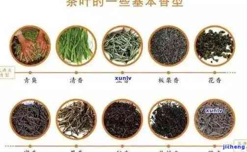 探索哪些茶叶适合煮饮：茶品特性与独特口感解析