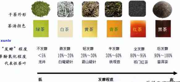 茶的种类与煮法全面解析：如何选择和烹饪各类茶叶以达到口感