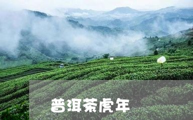 新 '吉象藏香，岁月沉淀的普洱茶虎年精选产区'