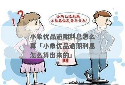 小象有品逾期上门犯法吗