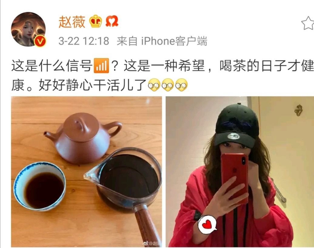 木瓜与普洱茶的完美搭配：如何制作、功效与禁忌，一文详解！