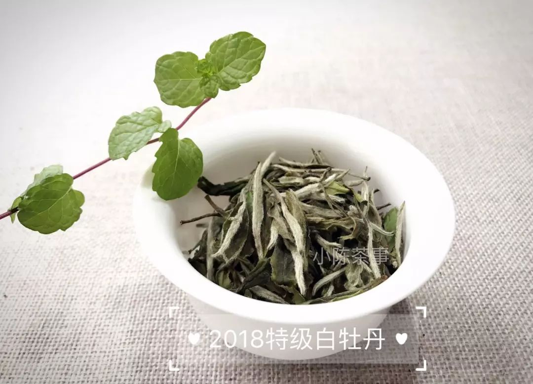 普洱茶与岩茶：哪一种茶叶更受欢迎？