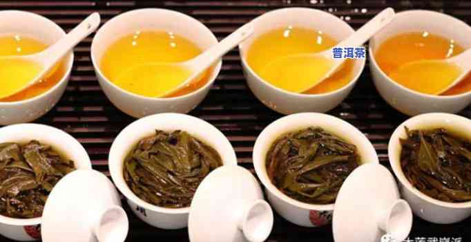 普洱茶与岩茶之争：一场品味与身份的较量