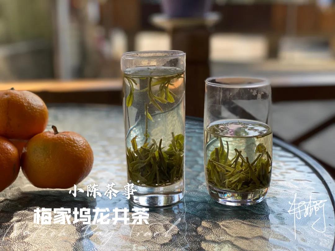 普洱茶与岩茶之争：哪个更适合你？一次全面的对比分析