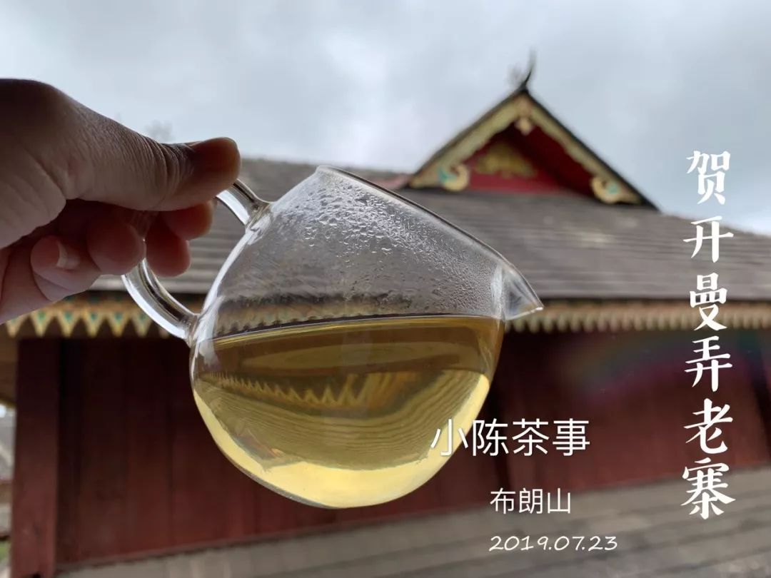 普洱茶与岩茶之争：哪个更适合你？一次全面的对比分析