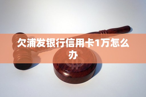 欠浦发银行1万块怎么办