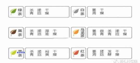 茶叶叶等级划分标准详解：从原料到品质的全面了解