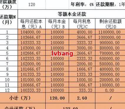 担贷只还本金怎么操作