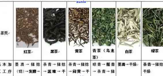 掌握五大指标，轻松分辨新旧茶叶的妙招