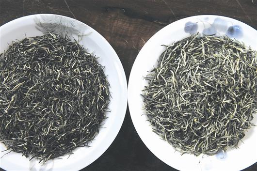 茶叶新旧鉴别：怎样区分新茶与旧茶？