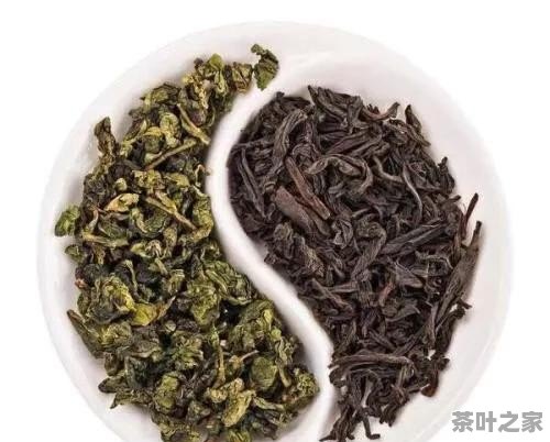 怎么区分茶叶的新旧