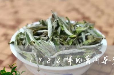 1986年的普洱茶多少钱