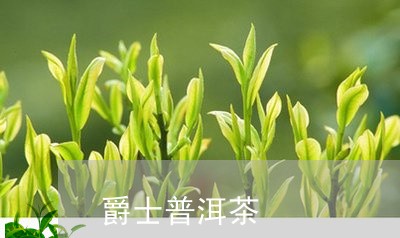 茶爵士是什么？茶爵士是其旗下。茶爵士普洱茶如何？