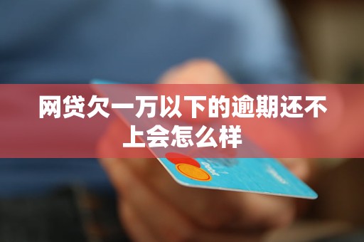 欠三万网贷还不起会怎么样