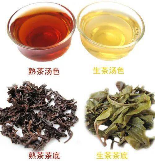 车顺号普洱茶工序