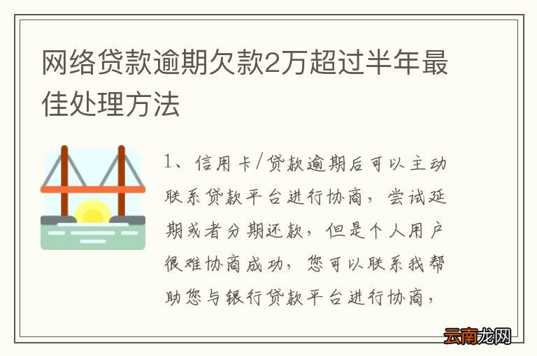 网贷欠款26万如何解决