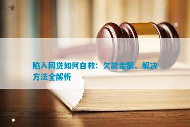 网贷欠款26万如何解决