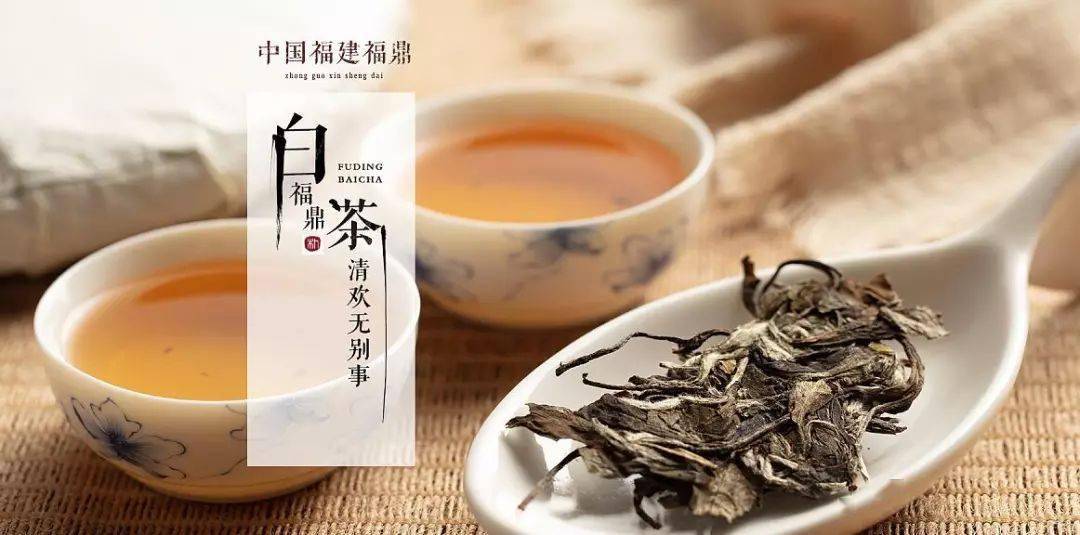 勐海白茶：传统与现代结合的健之选